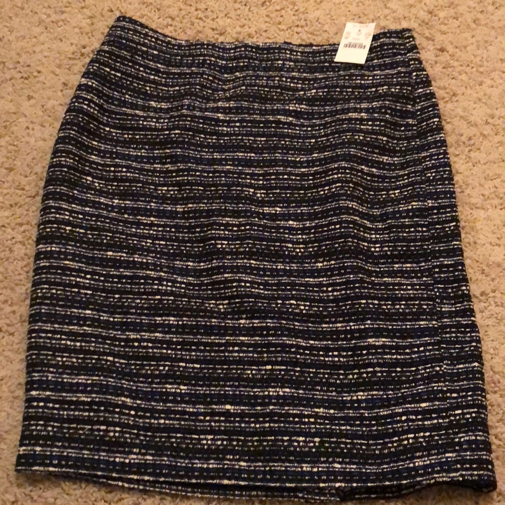 J. Crew Skirt